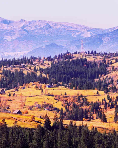 Karpatisches Dorf Den Bergen Sonnigen Tag — Stockfoto