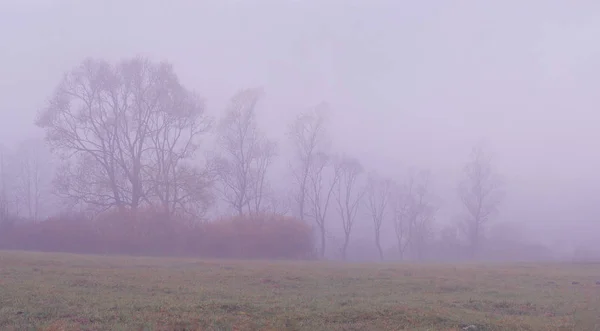 Montagne Carpatiche Nella Nebbia — Foto Stock