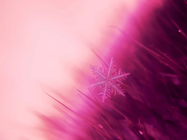 Schneeflocke Schön Auf Dem Bunten Hintergrund Makro — Stockfoto