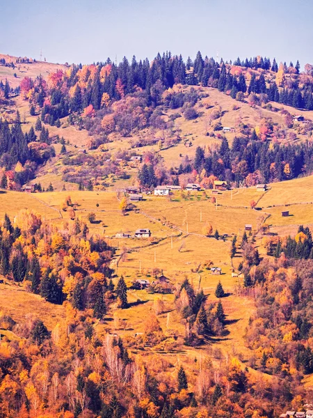 Carpatian Village Mountains Sunny Day — Stock Photo, Image