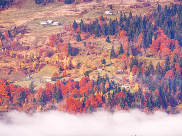 Aldeia Carpatian Montanhas Dia Nevoeiro Ensolarado — Fotografia de Stock