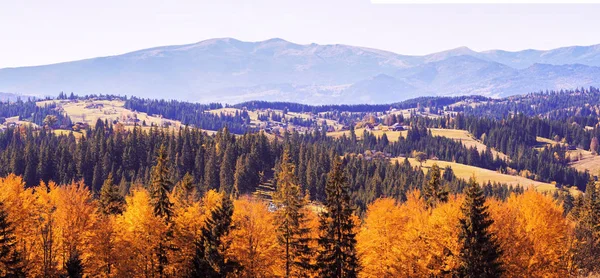 Carpatian Village Mountains Sunny Day — Stock Photo, Image