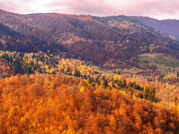 Karpatisches Dorf Den Bergen Sonnigen Tag — Stockfoto