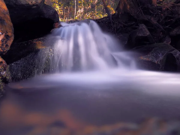 Cachoeira Floresta Dos Cárpatos — Fotografia de Stock