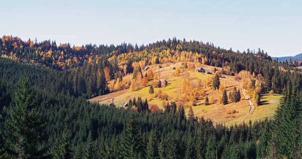 Karpatisches Dorf Den Bergen Sonnigen Tag — Stockfoto