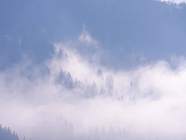 Montanhas Carpáticas Nevoeiro — Fotografia de Stock