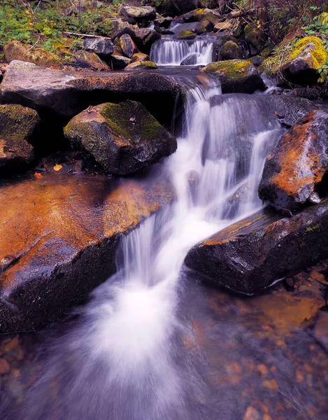 Cascata Nella Foresta Carpatica — Foto Stock