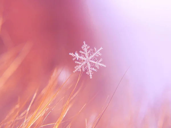 Schneeflocke Schön Auf Dem Bunten Hintergrund Makro — Stockfoto