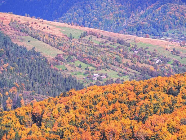 Fiocco Neve Bello Sul Colorato Sfondo Macro — Foto Stock