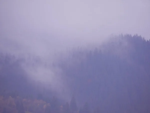 Montagnes Carpatiennes Brouillard — Photo