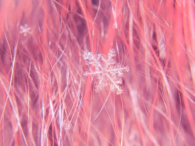Kar tanesi güzel renkli arka plan makro üzerinde