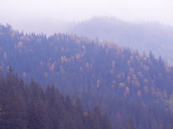Montanhas Carpáticas Nevoeiro — Fotografia de Stock