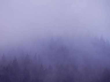 Sis Carpatian Dağları 