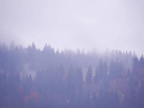 Montagnes Carpatiennes Brouillard — Photo