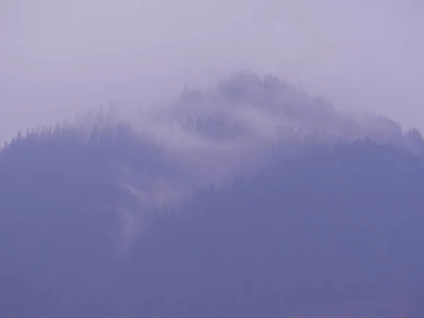 Montañas Carpatian Niebla — Foto de Stock