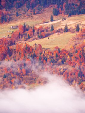 Güneşli sisli gün dağ köyünde Carpatian