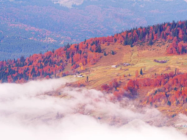 Karpacka wioski w górach, w słoneczny dzień mglisty — Zdjęcie stockowe