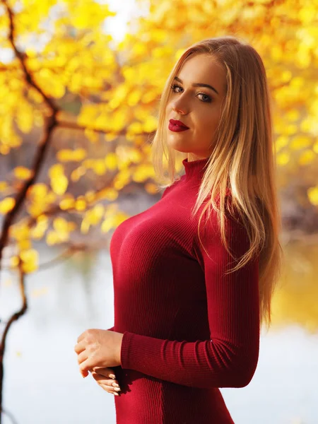 Blonde meisje portret in de herfst bos kijken naar camera — Stockfoto