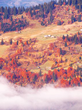 Güneşli sisli gün dağ köyünde Carpatian