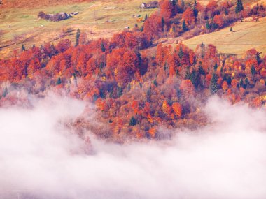 Güneşli sisli gün dağ köyünde Carpatian