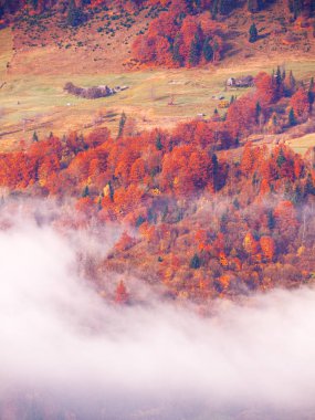 Güneşli sisli gün dağ köyünde Carpatian