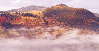 Güneşli sisli gün dağ köyünde Carpatian