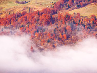 Güneşli sisli gün dağ köyünde Carpatian