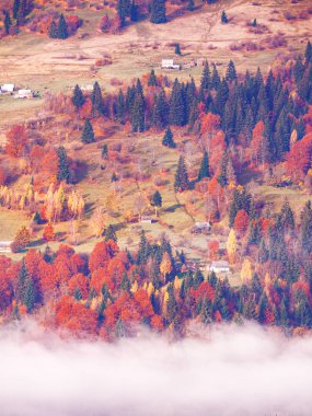 Güneşli sisli gün dağ köyünde Carpatian