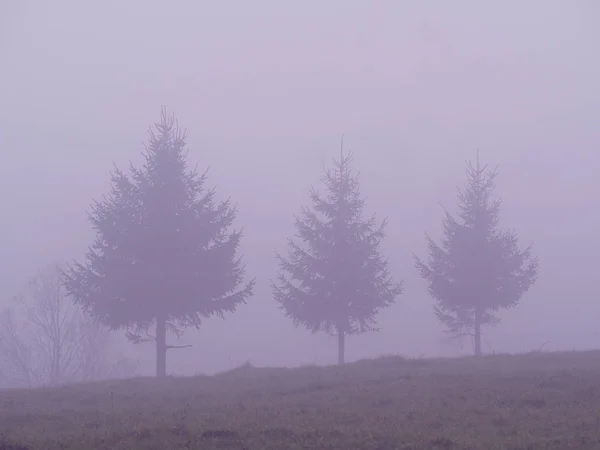 Montagne carpatiche nella nebbia — Foto Stock