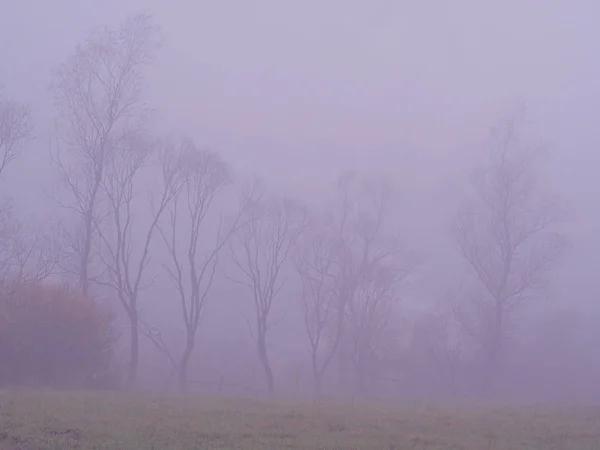 Carpatian bergen på dimman — Stockfoto