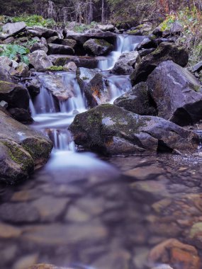 Karpat orman şelale
