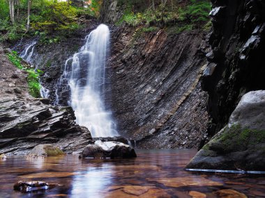 Karpat orman şelale