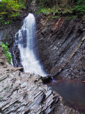 Karpat orman şelale