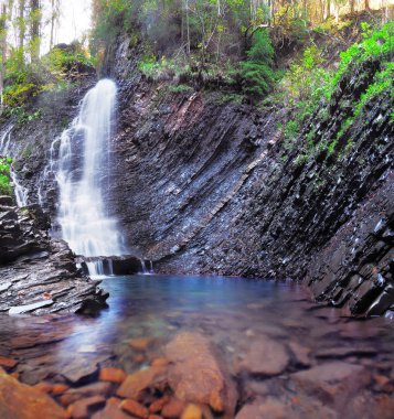 Karpat orman şelale