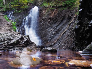 Karpat orman şelale