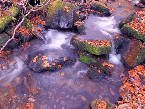 Waterval Aan Karpaten Bos — Stockfoto