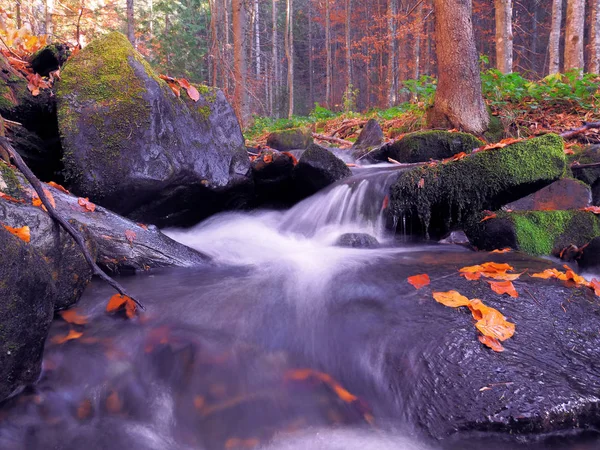 Cascata Nella Foresta Carpatica — Foto Stock