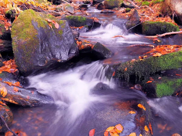 Cascata Nella Foresta Carpatica — Foto Stock