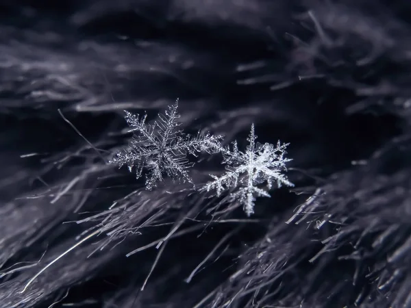 Flocon de neige magnifique sur le fond gris de l'hiver — Photo