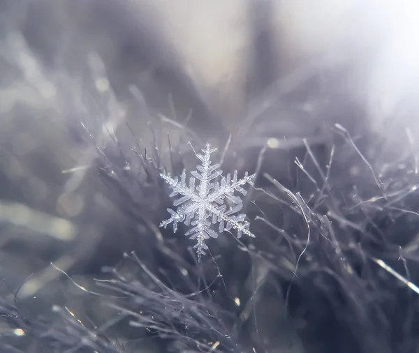Sněhová vločka krásná na šedém zimním pozadí — Stock fotografie