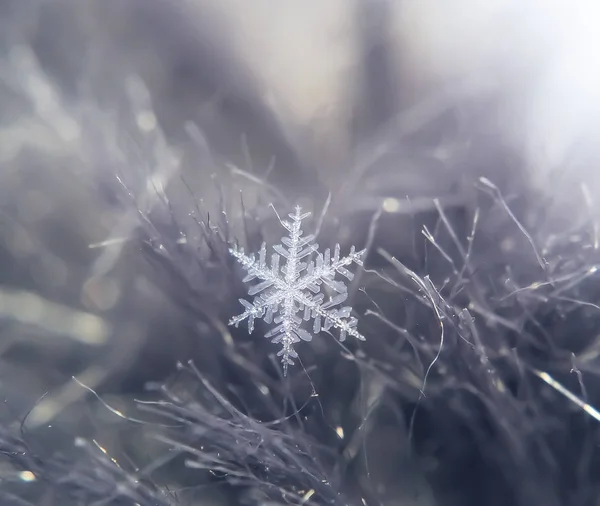 Flocon de neige magnifique sur le fond gris de l'hiver — Photo