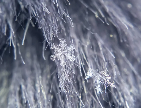 Sněhová vločka krásná na šedém zimním pozadí — Stock fotografie