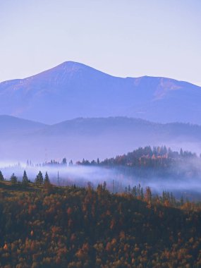 Güneşli bir gün dağ köyünde Carpatian
