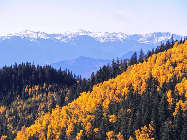 Carpatian village at mountains at the sunny day — Stock Photo, Image