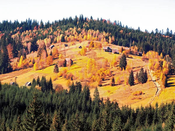 Carpatian village at mountains at the sunny day — Stock Photo, Image