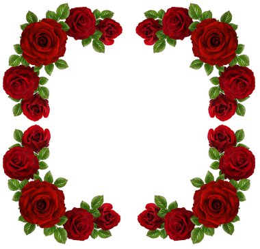 Gül sanat tasarım. Çerçeve yapılmış güller, gül ile Sevgililer arka plan yeşil yaprakları. Sevgililer günü kart kavramı.