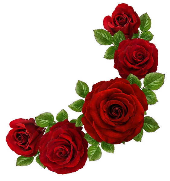 Roses Art Design Marco Hecho Rosas Hojas Verdes Fondo San —  Fotos de Stock