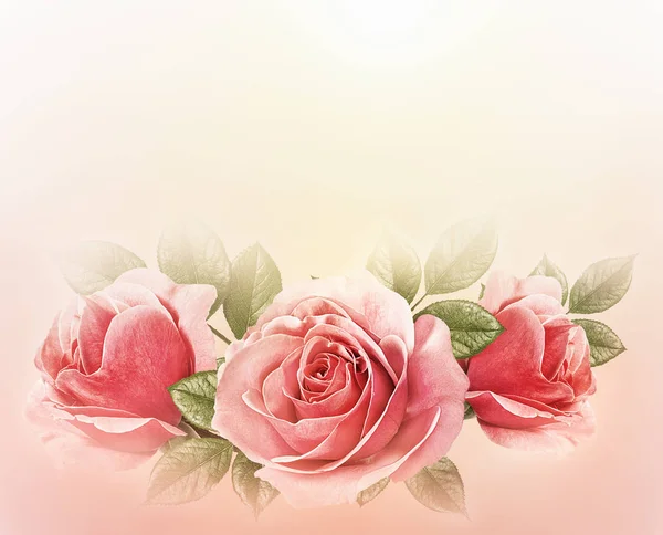 Roses Art Design Valentine Background Roses Концепция Валентинки — стоковое фото