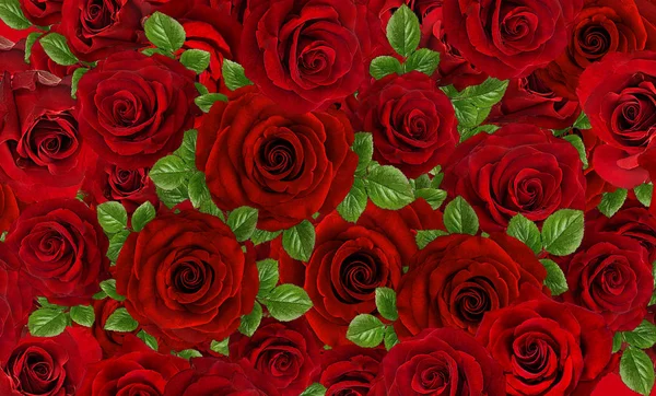 Rosas Art Design Fondo San Valentín Con Rosas Concepto Tarjeta —  Fotos de Stock
