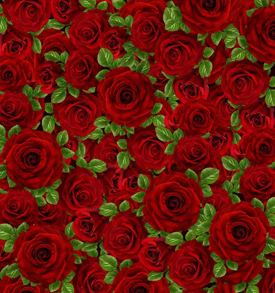 Rosas Art Design Fondo San Valentín Con Rosas Concepto Tarjeta —  Fotos de Stock
